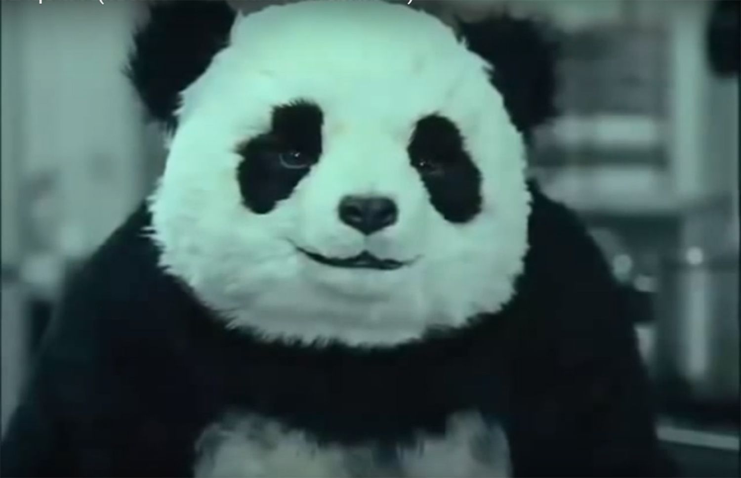 Panda Cheese