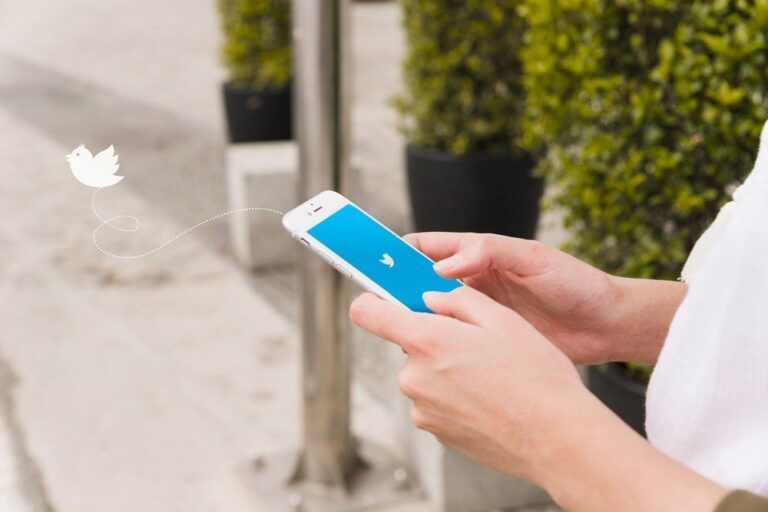 spotlight twitter